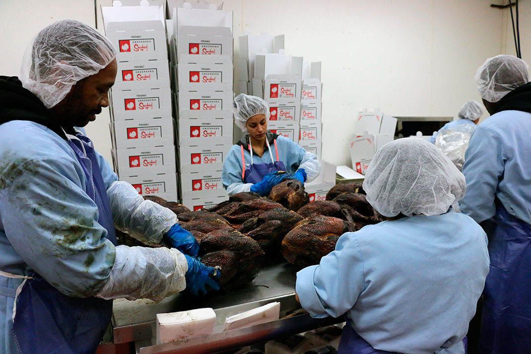 Two great recipes for your Greenberg turkey leftovers Texas BBQ Posse