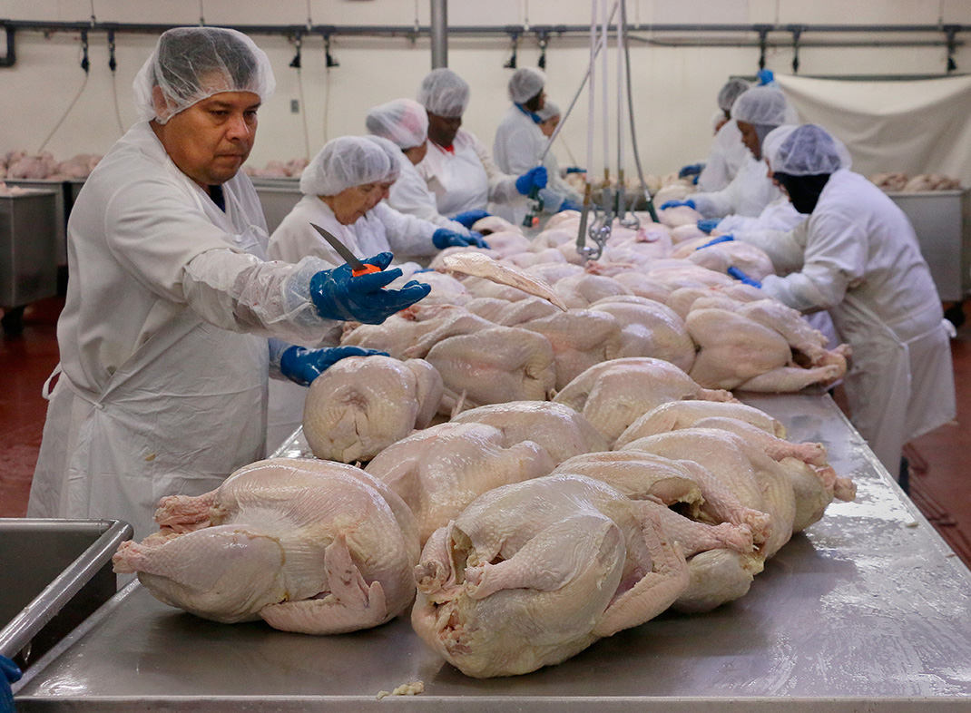 Greenbergturkey04 Texas BBQ Posse